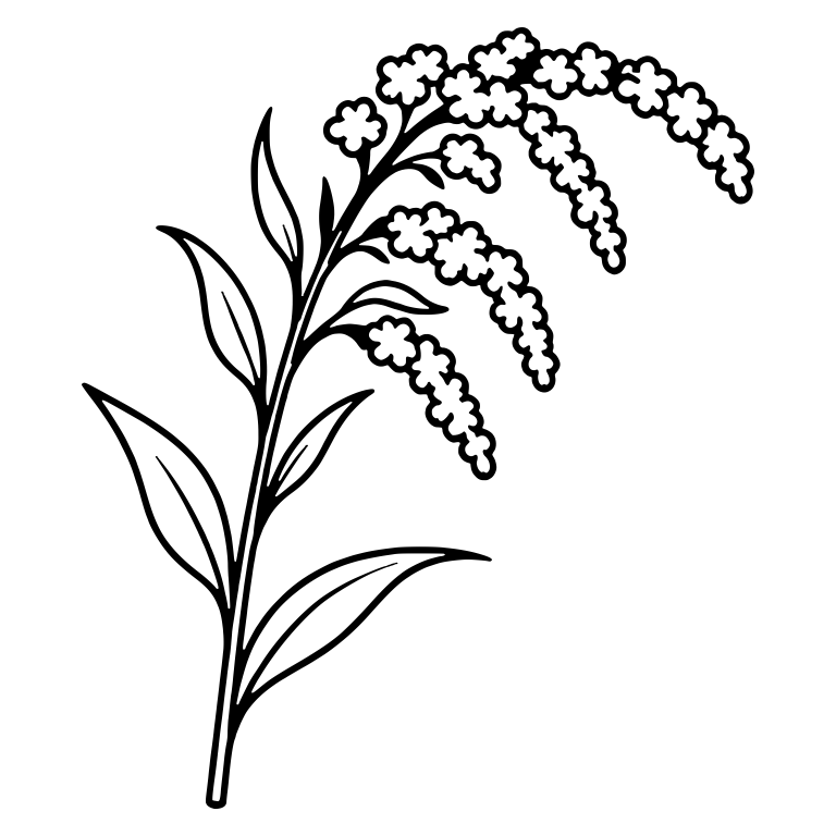 Goldenrod Sprig With Arching Flower Plumes — free floral SVG cut file