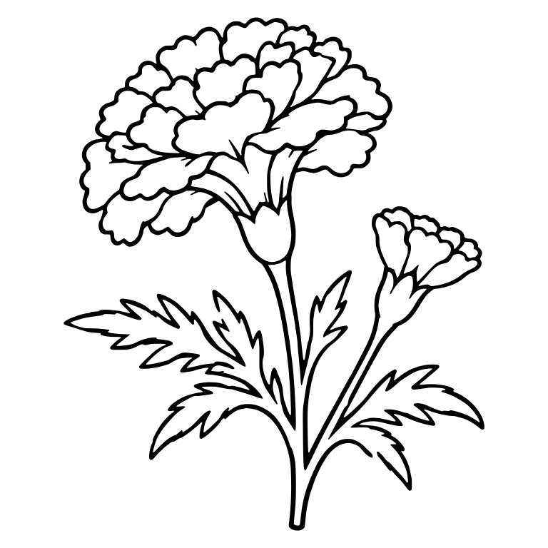 Ruffled Marigold With Side Bud and Feathery Leaves — free floral SVG cut file