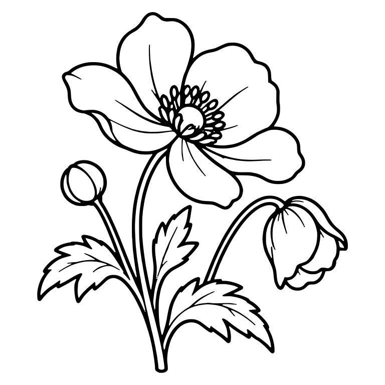 Japanese Anemone With Drooping Half Open Bud — free floral SVG cut file