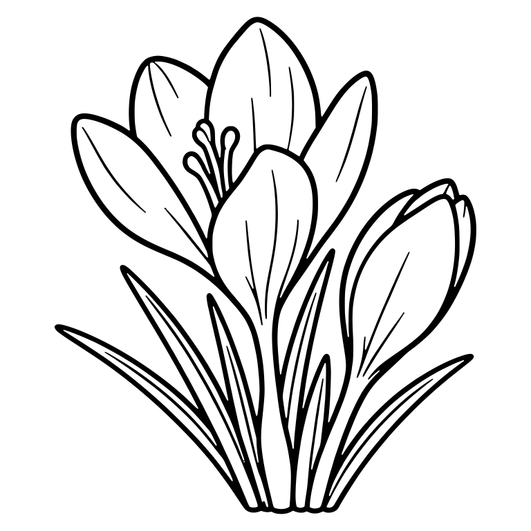 Crocus Bunch with Open Bloom, Bud and Grass Leaves — free floral SVG cut file