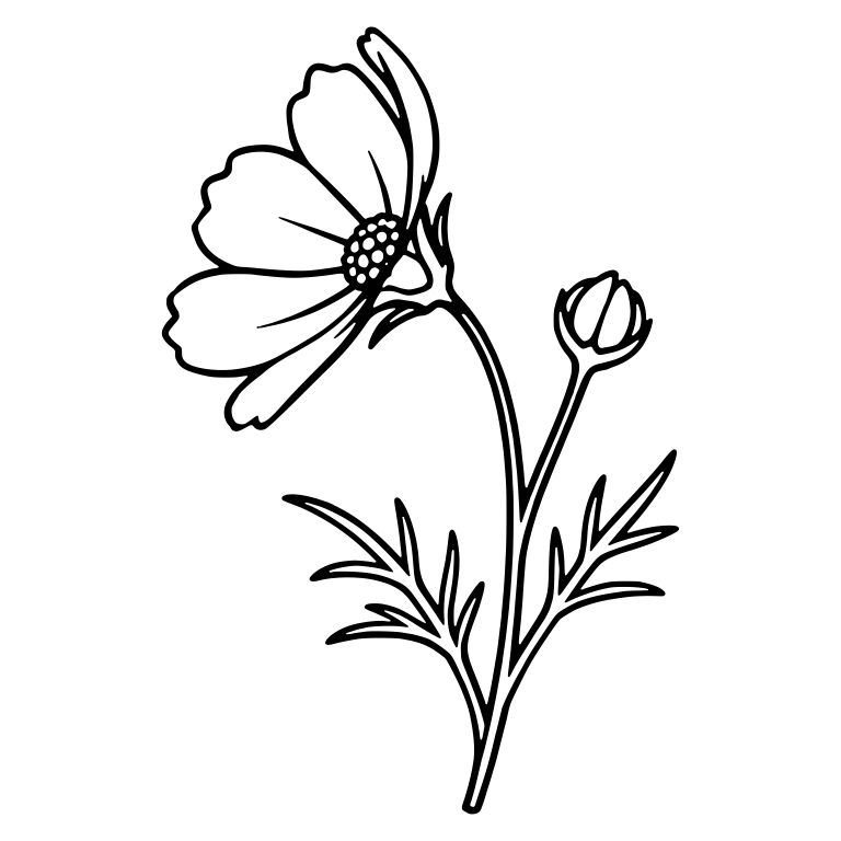 Side-Facing Cosmos Flower With Dotted Center and Bud — free floral SVG cut file