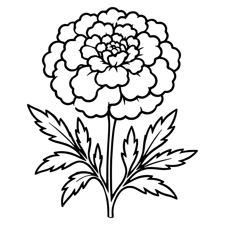 Full Round Marigold Bloom With Feathery Leaves — free floral SVG cut file