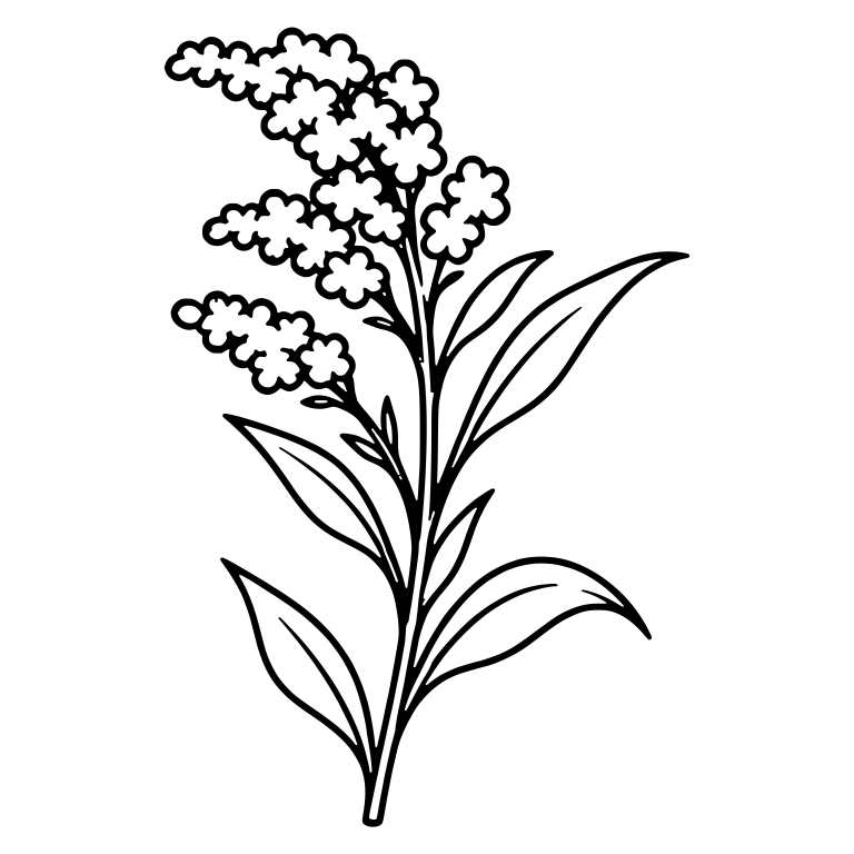 Upright Goldenrod Stem With Clustered Blooms — free floral SVG cut file