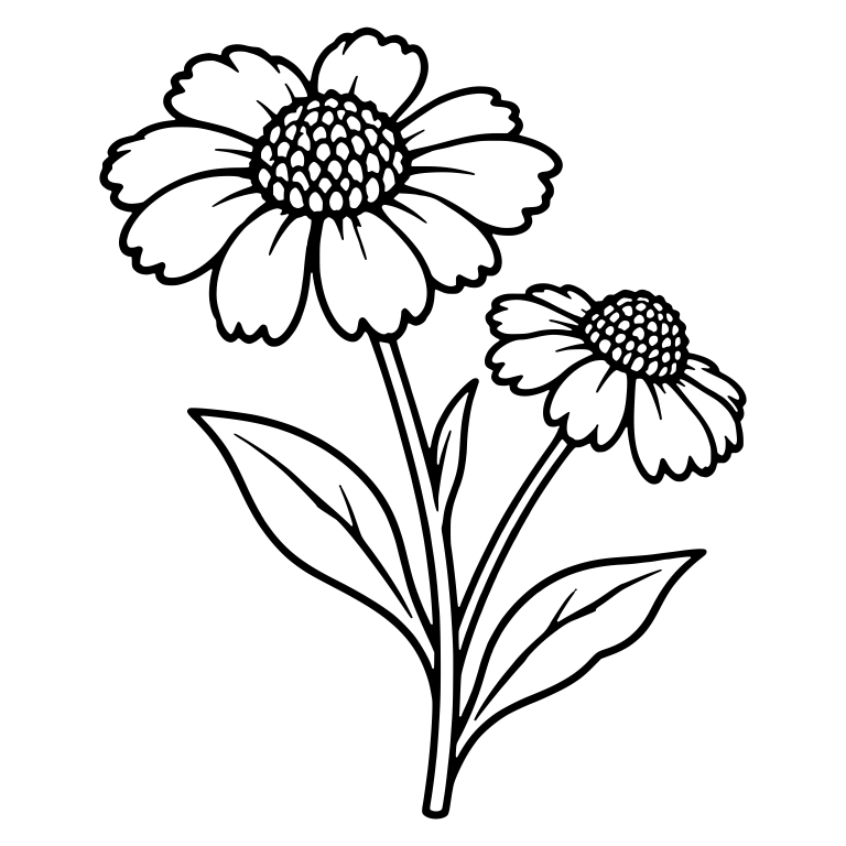 Pair of Helenium Flowers With Scalloped Petals — free floral SVG cut file