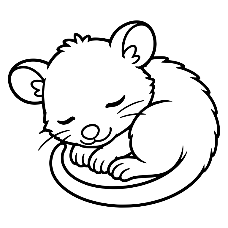 Sleeping Curled Up Opossum With Whiskers and Long Tail — free animal SVG cut file