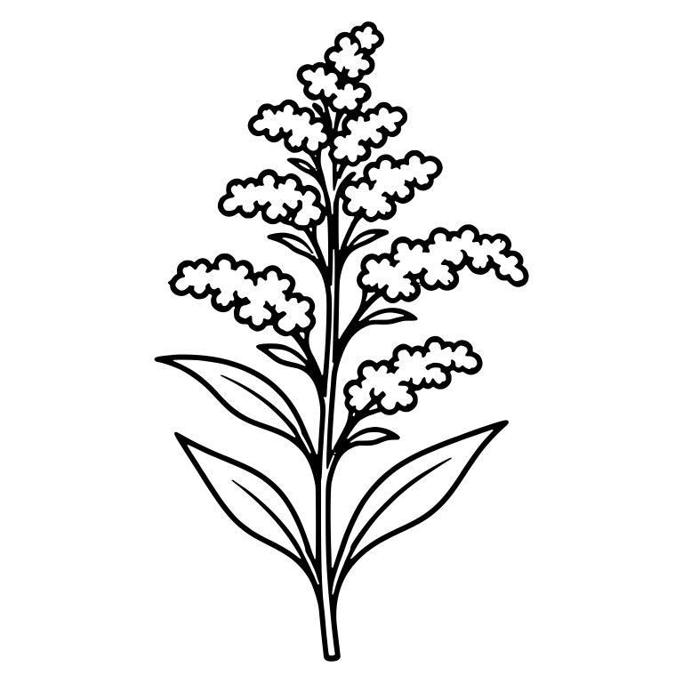 Goldenrod Sprig with Fluffy Flower Clusters and Leaves — free floral SVG cut file