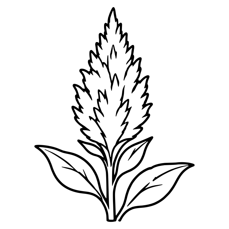 Single Upright Celosia Plume With Broad Leaves — free floral SVG cut file
