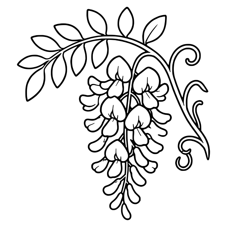 Wisteria Blossom Cluster With Leafy Branch and Tendrils — free floral SVG cut file