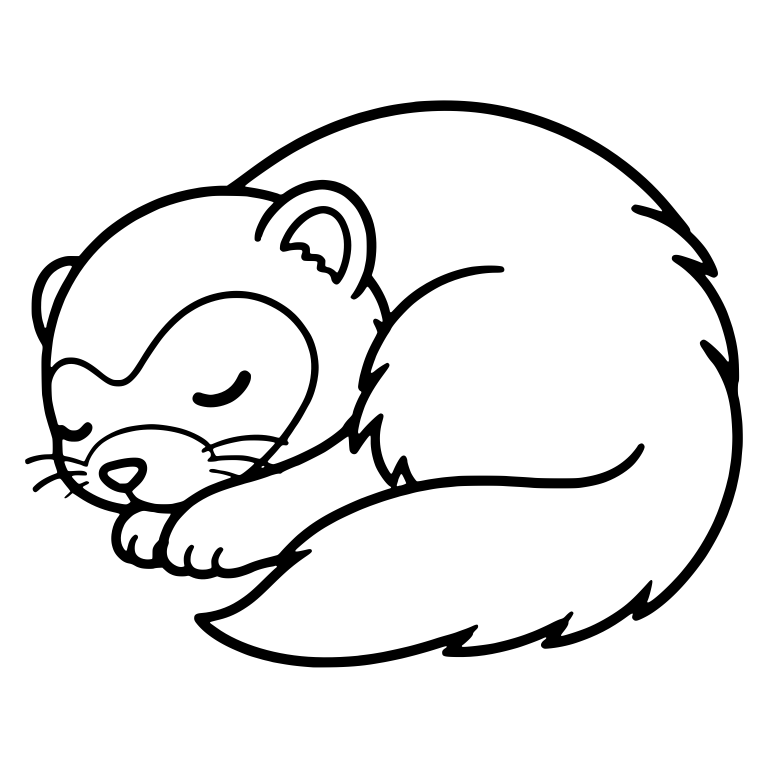 Sleeping Ferret Curled Up with Closed Eyes — free animal SVG cut file