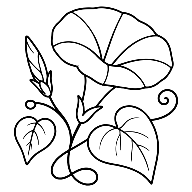 Morning Glory With Side-View Trumpet Bloom, Bud and Leaves — free floral SVG cut file