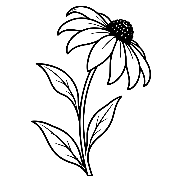 Tilted Black Eyed Susan With Long Pointed Leaves — free floral SVG cut file