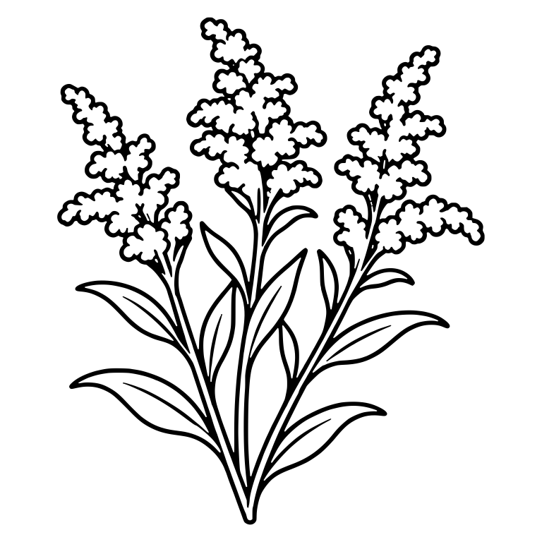 Three Goldenrod Stems With Fluffy Flower Clusters — free floral SVG cut file
