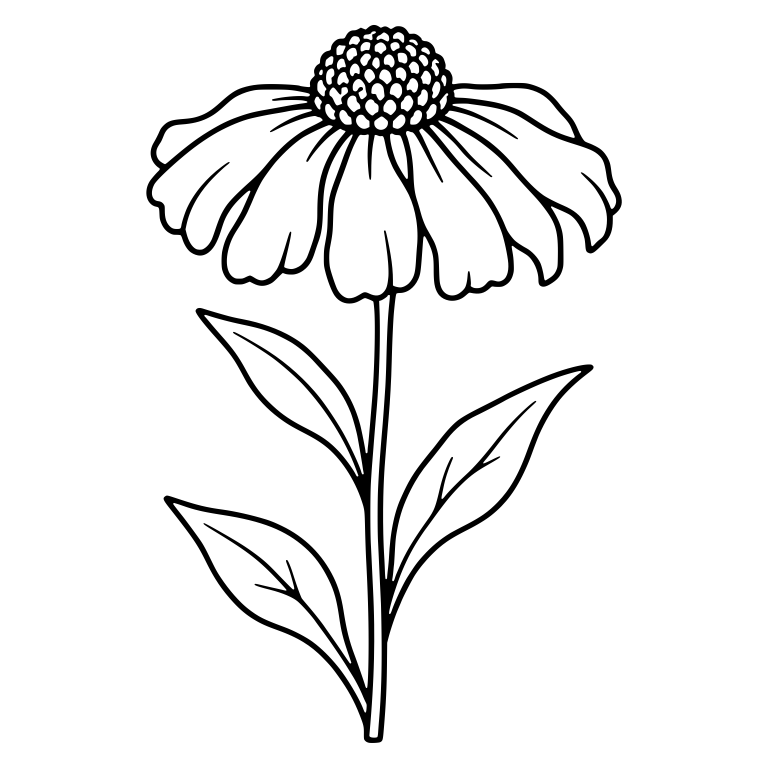 Helenium Flower With Domed Center and Three Leaves — free floral SVG cut file