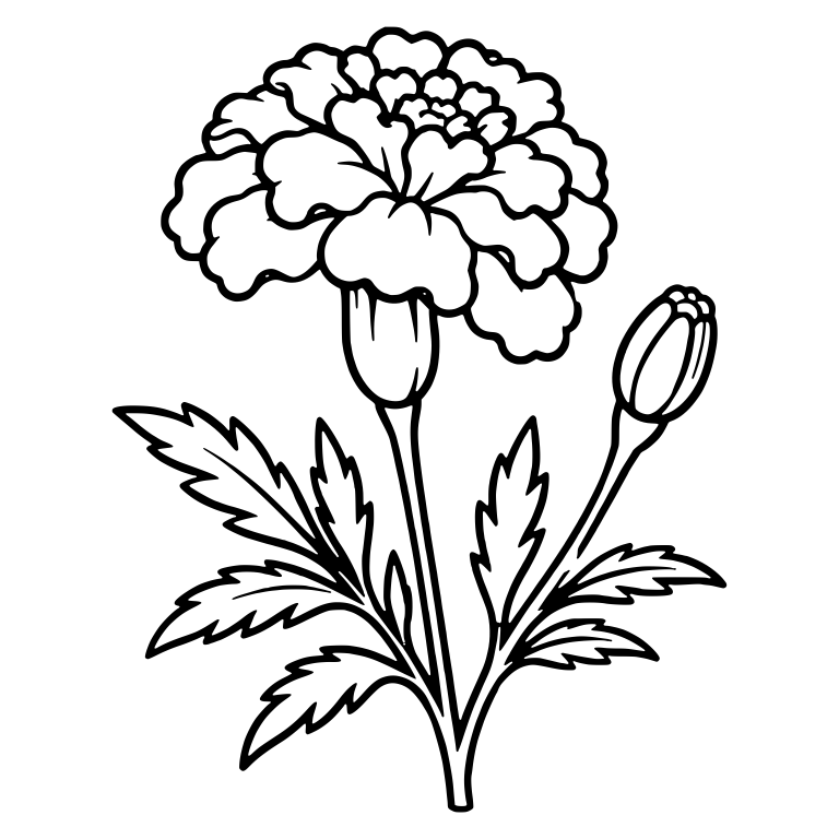 Marigold Bloom With Slim Closed Bud and Jagged Leaves — free floral SVG cut file