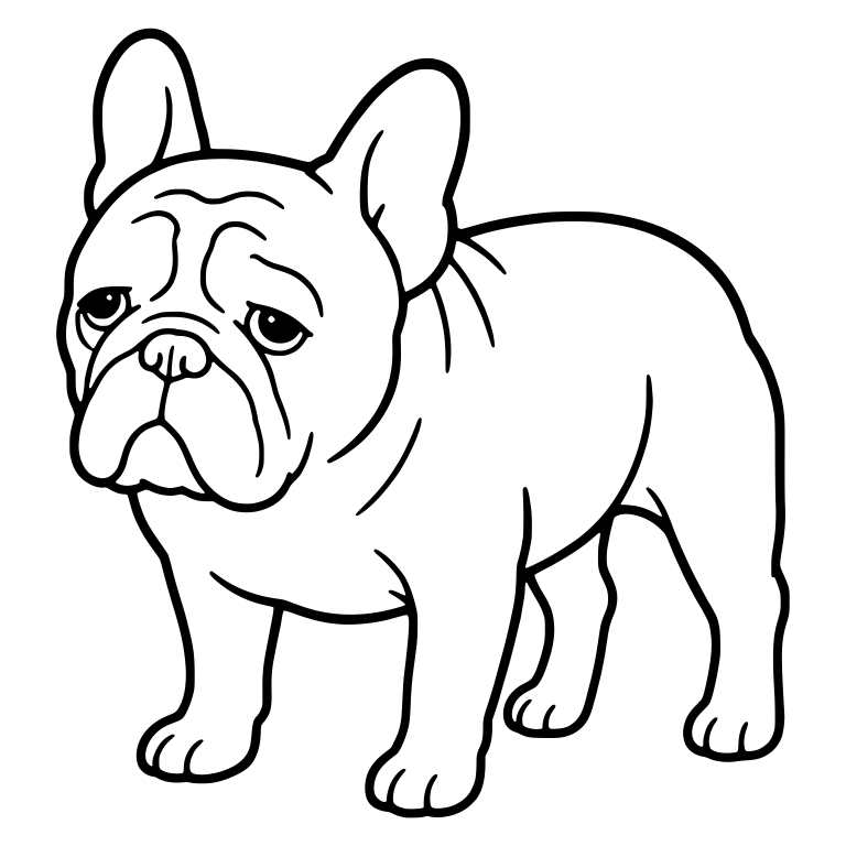 Wrinkly Senior French Bulldog Standing in Three-Quarter View — free animal SVG cut file