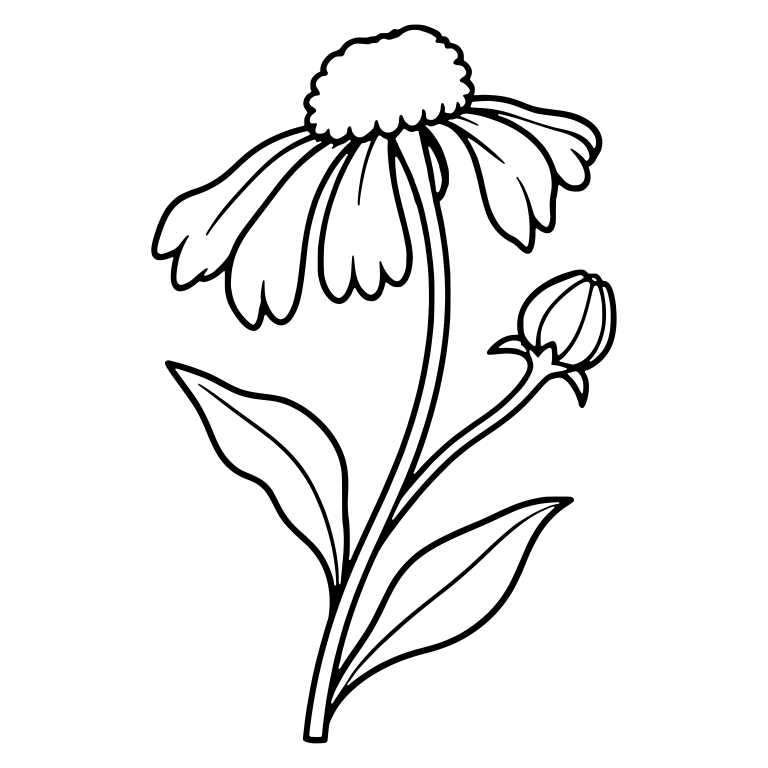 Leaning Sneezeweed Flower With Bud and Leaves — free floral SVG cut file