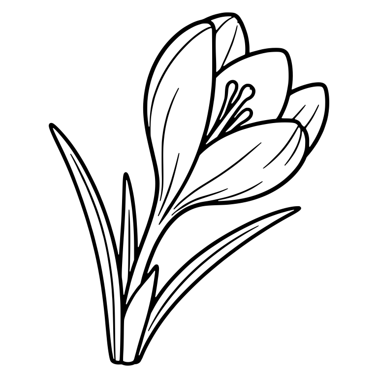 Single Crocus Tilted Right With Long Leaves — free floral SVG cut file