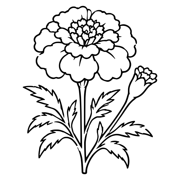 Ruffled Marigold Bloom with Bud and Jagged Leaves — free floral SVG cut file