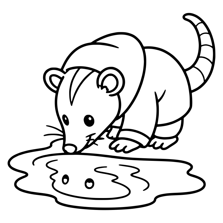 Opossum Peering at Its Reflection in a Puddle — free animal SVG cut file
