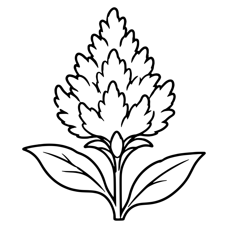 Celosia Plume Flower With Two Broad Leaves — free floral SVG cut file