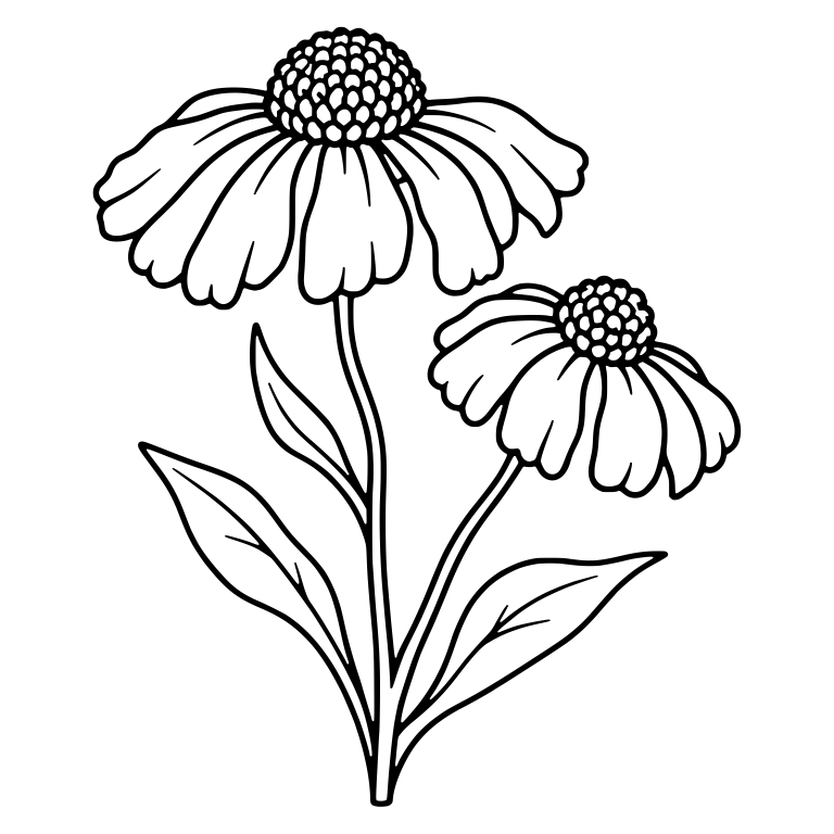 Two Helenium Flowers With Drooping Petals and Leaves — free floral SVG cut file