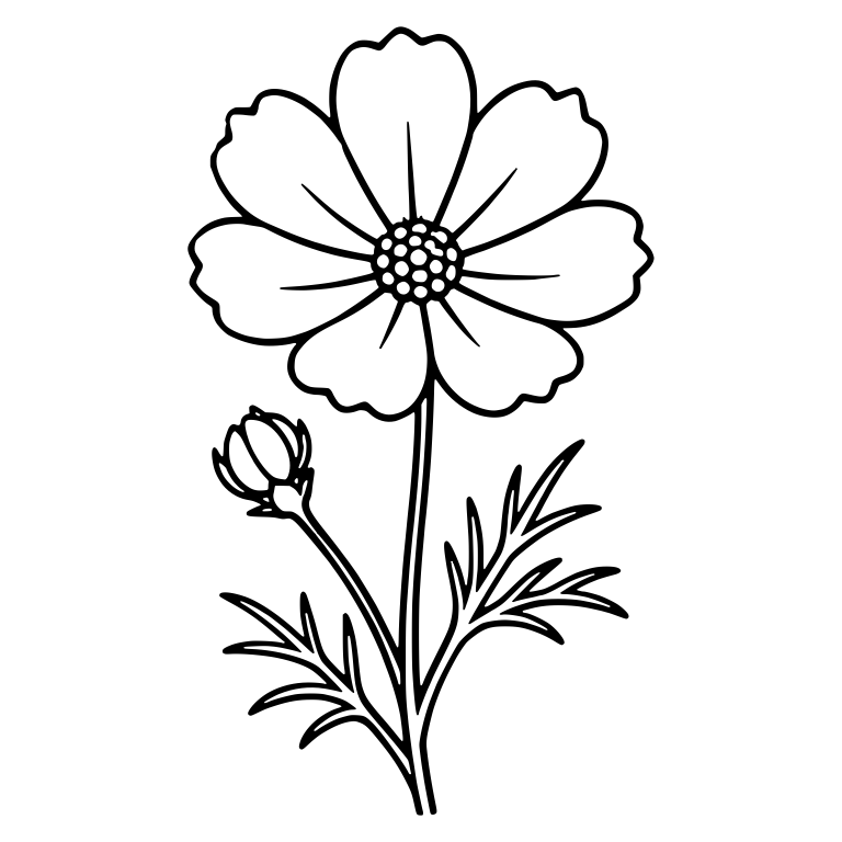 Cosmos Flower with Dotted Center, Bud and Feathery Leaves — free floral SVG cut file