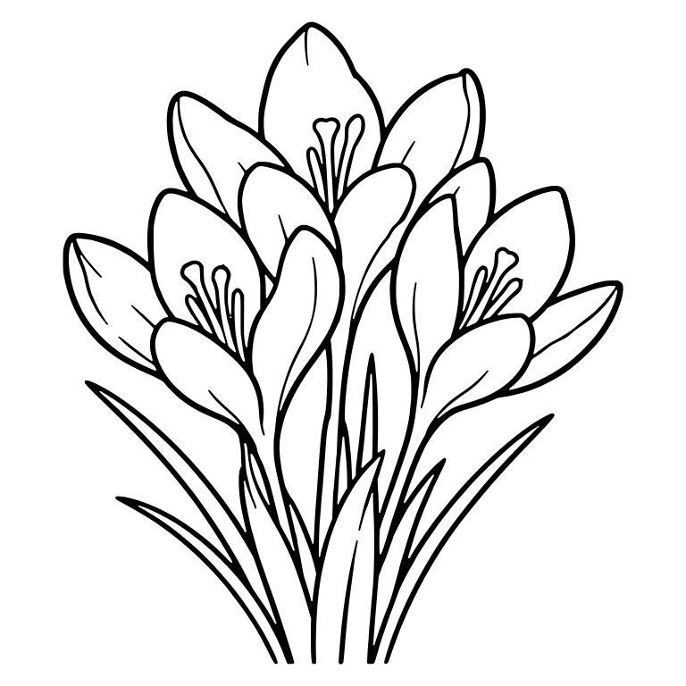 Crocus Bouquet With Three Open Blooms — free floral SVG cut file