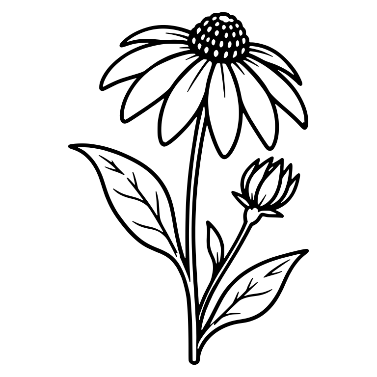Black Eyed Susan With Side Bud And Broad Leaves — free floral SVG cut file