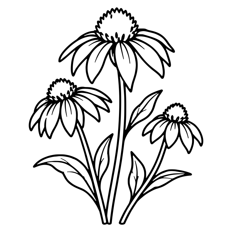 Coneflower Trio With Spiky Cones — free floral SVG cut file