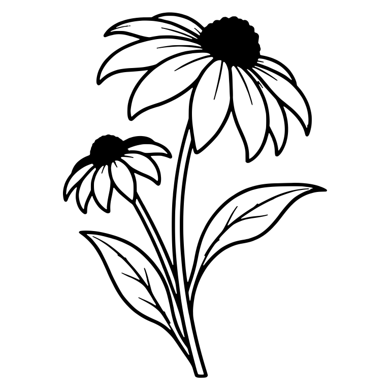 Black Eyed Susan Pair With Solid Black Centers — free floral SVG cut file