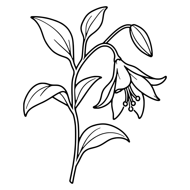 Drooping Bell Lily on Curved Stem with Bud and Leaves — free floral SVG cut file