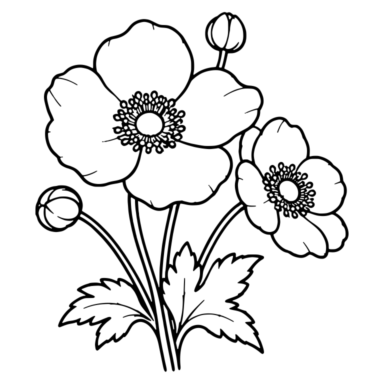 Japanese Anemone Pair With Two Buds — free floral SVG cut file