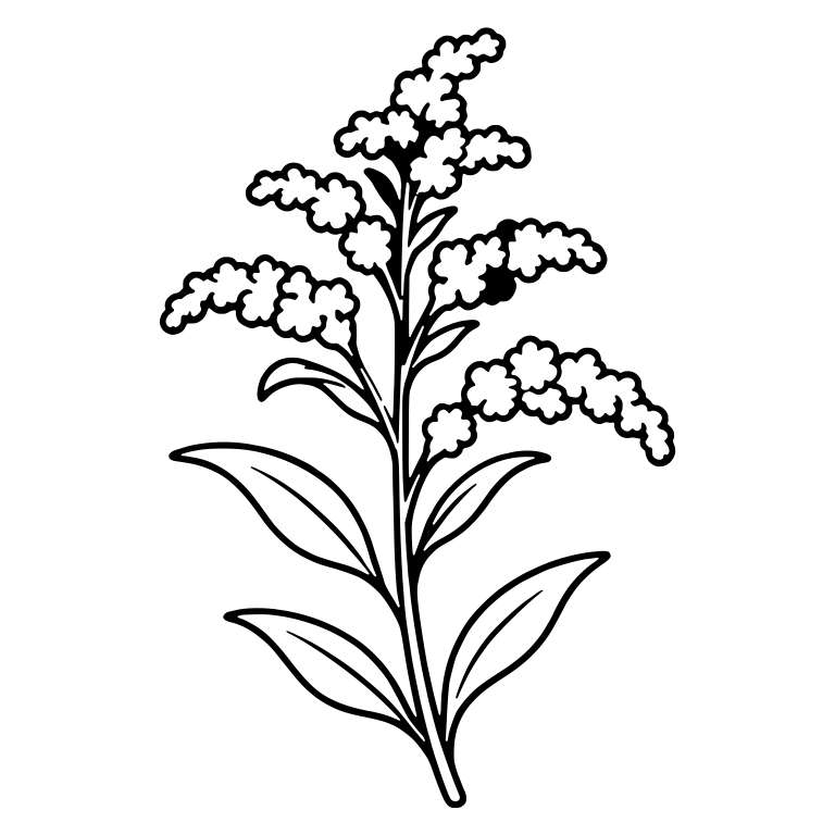 Leaning Goldenrod Stem with Arching Flower Clusters — free floral SVG cut file