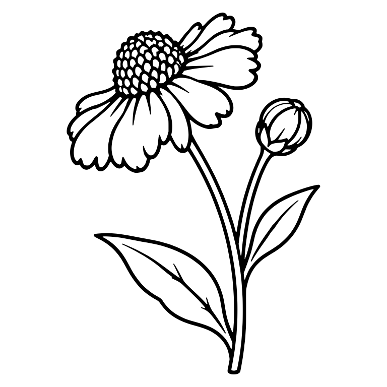 Leaning Helenium Flower With Bud and Two Leaves — free floral SVG cut file