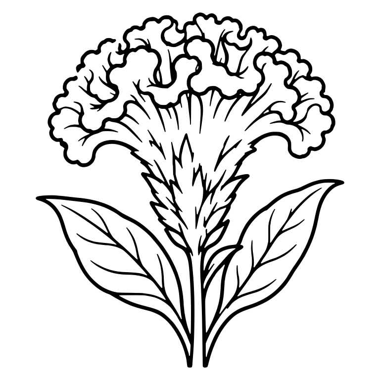 Celosia Crested Bloom With Ruffled Top And Two Leaves — free floral SVG cut file