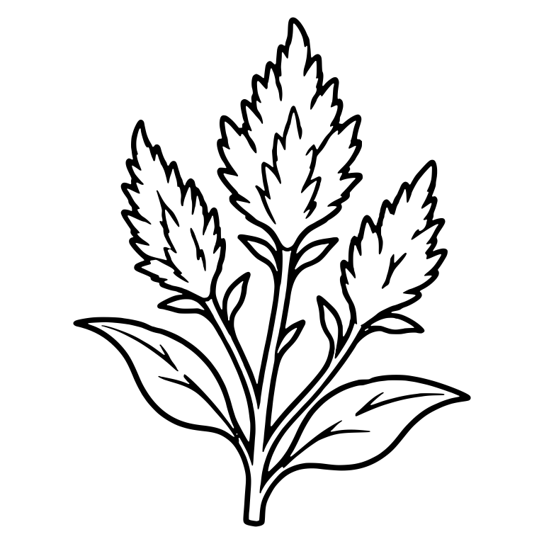 Three Celosia Plumes With Branching Stems — free floral SVG cut file
