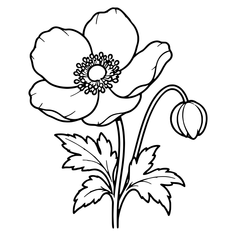 Japanese Anemone With Nodding Bud On Arched Stem — free floral SVG cut file