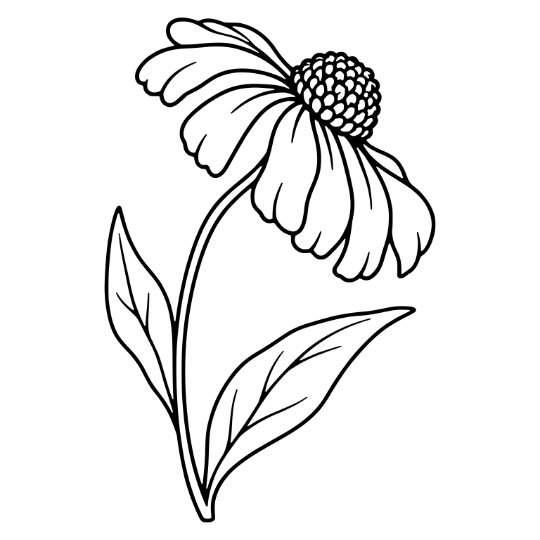 Nodding Helenium Flower on a Curved Stem With Two Leaves — free floral SVG cut file
