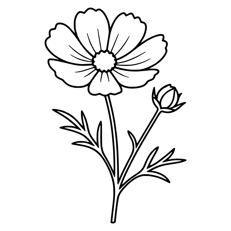 Cosmos Flower With Side Bud and Feathery Leaves — free floral SVG cut file