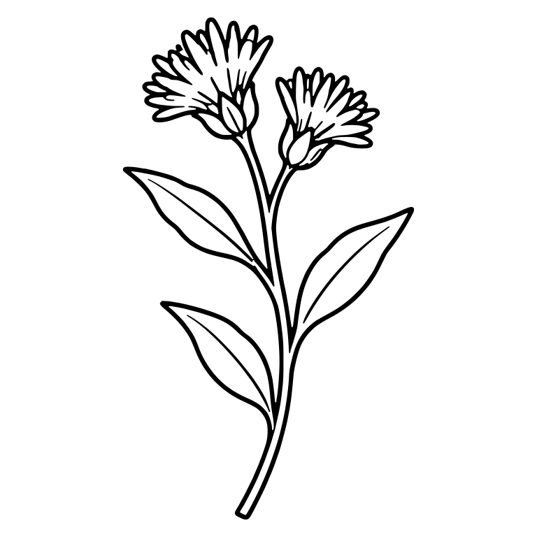 Ironweed Stem With Two Fringed Flowers and Long Leaves — free floral SVG cut file