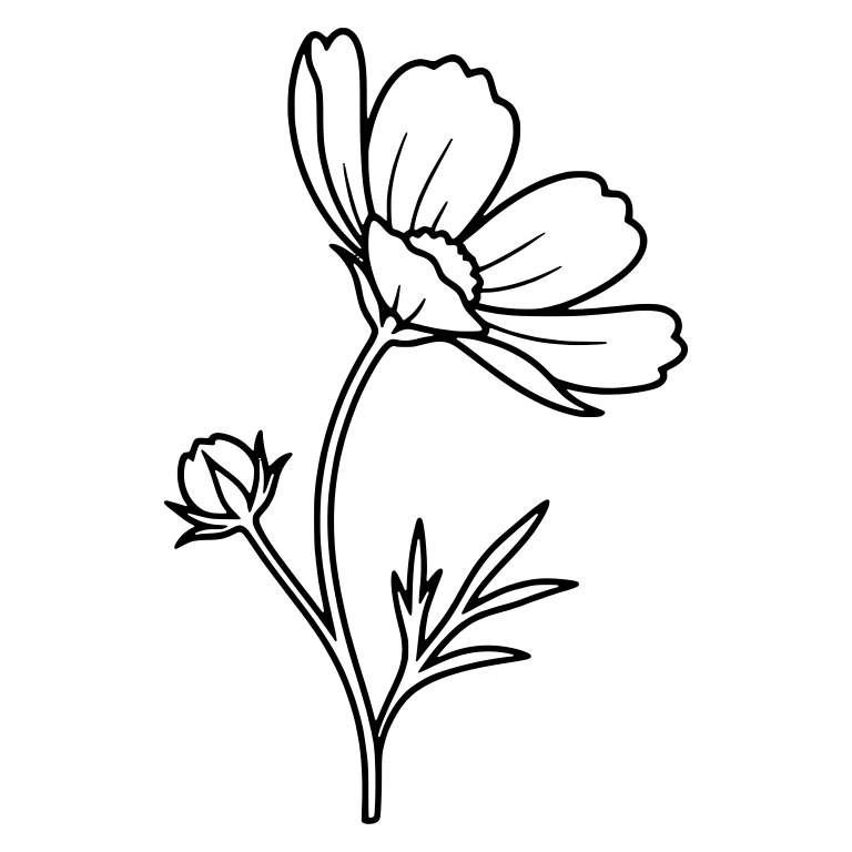 Side View Cosmos Flower With Bud and Feathery Leaves — free floral SVG cut file