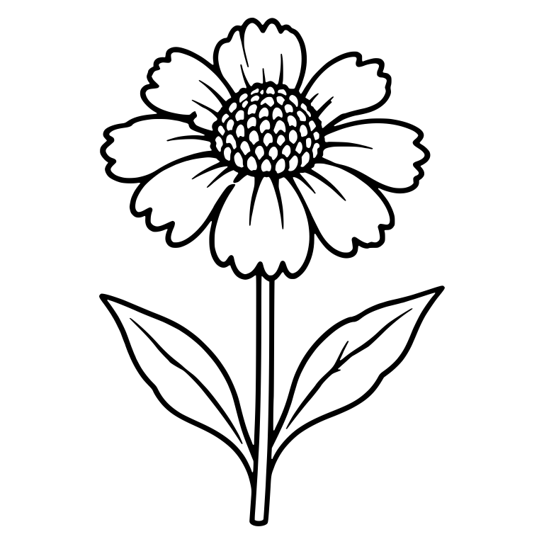 Upright Helenium Flower With Scalloped Petals — free floral SVG cut file