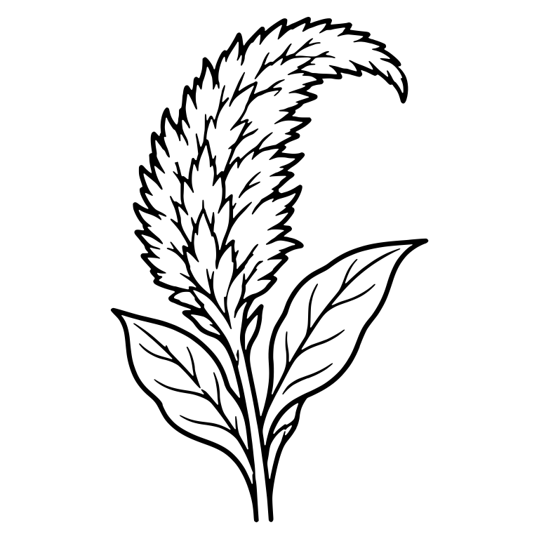 Curved Celosia Plume With Feathery Tips — free floral SVG cut file