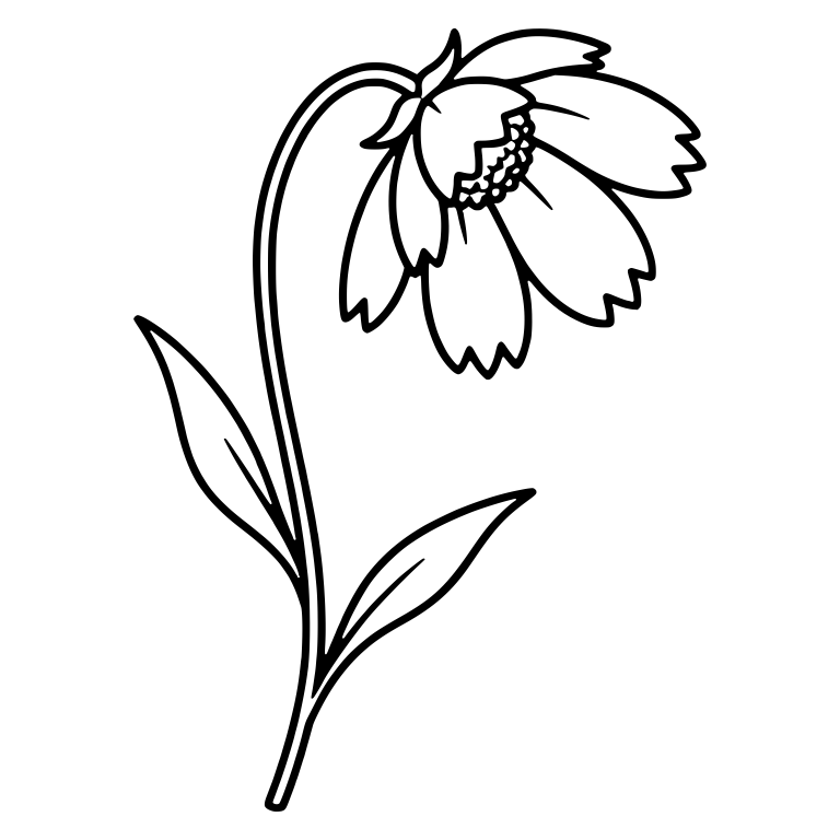 Drooping Coreopsis Flower on an Arched Stem — free floral SVG cut file