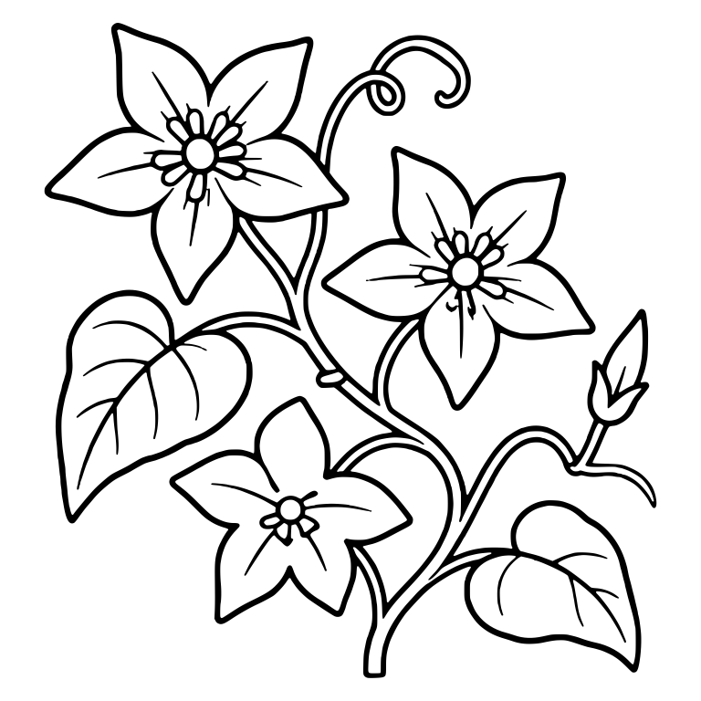 Three Star-Shaped Flowers on Leafy Vine With Bud — free floral SVG cut file